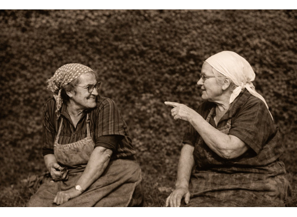 2025 en quelques points